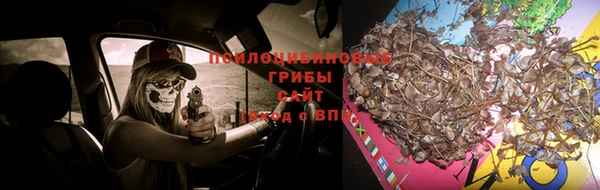 спиды Абинск