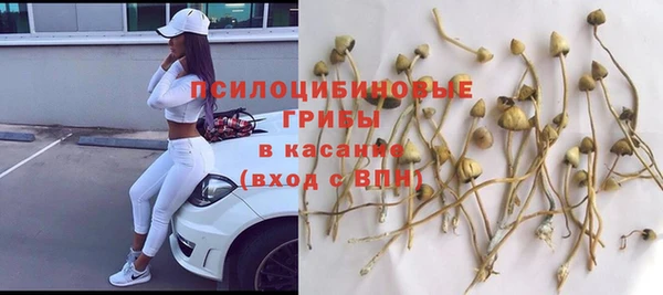 спиды Абинск