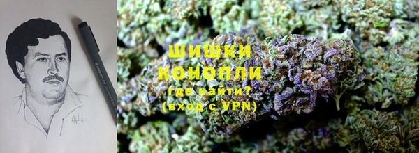 ГАЛЛЮЦИНОГЕННЫЕ ГРИБЫ Абдулино