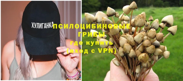 ГАЛЛЮЦИНОГЕННЫЕ ГРИБЫ Абдулино