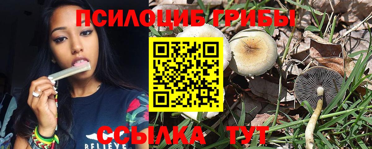Псилоцибиновые грибы Magic Shrooms Сатка