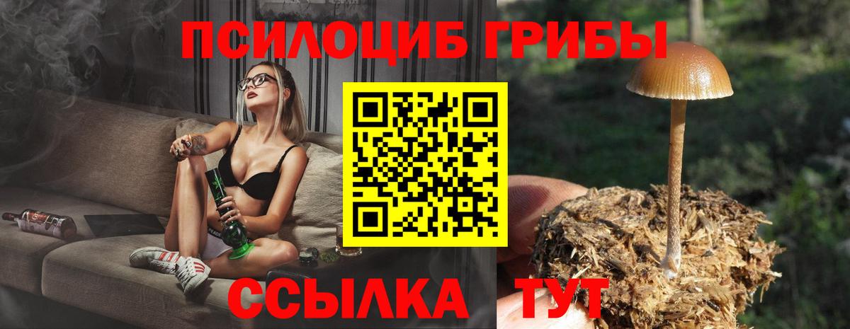 Псилоцибиновые грибы ЛСД Сатка